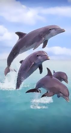 three dolphins are jumping out of the water