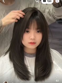 #KoreanHaircuts #KoreanStyle #HairInspo #KBeauty #HairTrends #KoreanFashion #KPopHair #HairGoals #ChicHair #HairDesign #KoreanHair #CuteHaircuts #KoreanBob #LayeredHair #KoreanBang #InstaHair #KoreanHairstyle #HairTransformation #TrendyHair #KoreanHairColor Jayne Matthews, Peekaboo Hair, Hair Style Korea, Layered Haircuts For Medium Hair, Long Hair Wedding Styles, Retro Styles, Shot Hair Styles, Short Hair Tutorial, Hippie Vibes