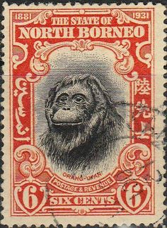 an old postage stamp with a monkey on it's face and the words north borneo