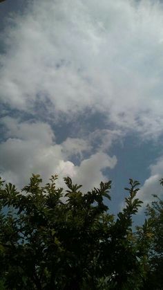 an airplane is flying high in the sky above some trees and bushes on a cloudy day