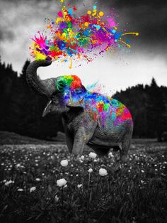 an elephant with colored paint on it's body in a field full of flowers