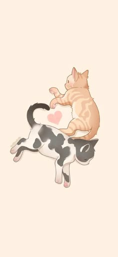 two cats sitting on top of each other in front of a white and black cow