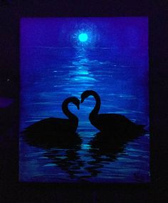 two black swans in the water at night