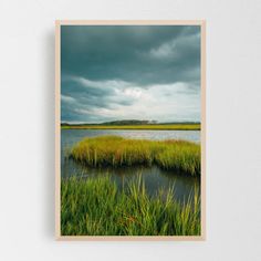 an image of grass in the water under a cloudy sky with storm clouds above it