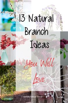 the words 13 natural branch ideas you will love