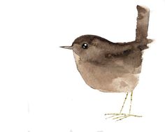 a watercolor painting of a bird on a white background