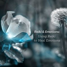 "I allow myself to feel anger, allow the anger to BE, love and accept the anger just as it is and try not to judge it."
"The next time a powerful emotion is threatening to take you over, face it head on and bless it with Reiki." - read Kathi's full article: Be Love, Spiritual Path, Spiritual Awakening, Roller Coaster, Energy Healing, Namaste, How Can