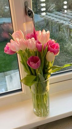 pink tulips in a vase on a window sill