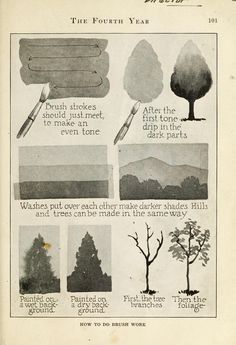 an old book with different types of trees