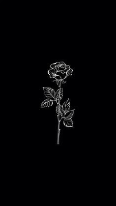 Something Black Aesthetic, Cute Wallpaper For Phone Aesthetic Black, Cute Black Wallpaper Aesthetic Vintage, Bunga Aesthetic Dark, Mawar Aesthetic Dark, Pretty Black Backgrounds, Black Wallpaper Aesthetic Simple, Savage Wallpaper Aesthetic Black, Black I Phone Wallpaper