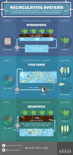 the different types of boats that can be seen in this infographtion poster, which shows