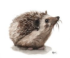 a drawing of a porcupine on a white background