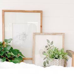 some plants and pictures on a shelf in front of a white wall