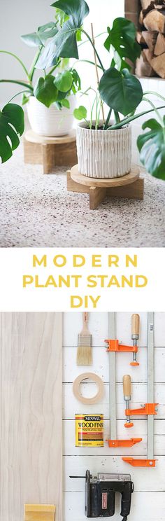 the diy modern plant stand is easy to make