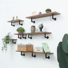 some shelves with plants and books on them next to a potted plant in front of a white wall