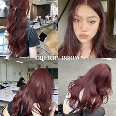 #hair #haircolor #hairinspiration #hairstyles #cherrybrown Burgundy Colored Hair, Burgundy Colour On Black Hair, Hair Colors On Asian Hair, Cherry Brown Hair Color Burgundy, Cherry Brown Hair Aesthetic, Cherry Brown Hair On Pale Skin, Red Cool Tone Hair, Kdrama Hair Color, Subtle Cherry Red Hair