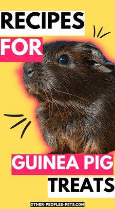 an animal with the words recipes for guinea pig treats on it's back side