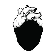 a black and white drawing of a human heart