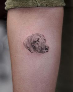 a black and white drawing of a dog's head on the right calf leg