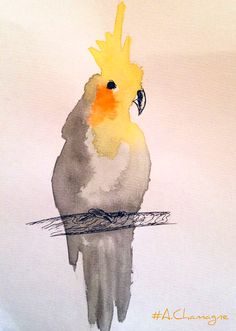 a watercolor painting of a yellow and white bird sitting on a branch with its reflection in the water