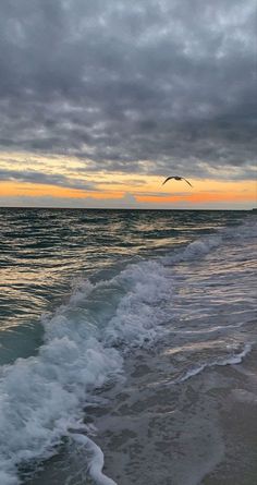 a bird flying over the ocean at sunset