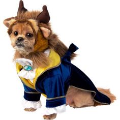 a small dog dressed in a costume with horns on it's head and ears