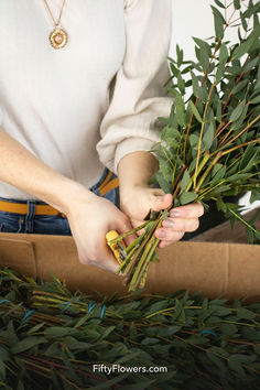 Picture of someone processing eucalyptus greenery for a wedding. Greenery Flowers, Greenery Wedding, Bridal Bouquets