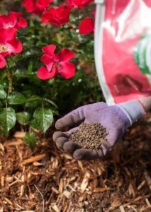 someone is holding some dirt in their hand and there are red flowers behind the bag