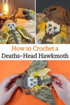 In this video, you'll learn how to make a fuzzy little moth, specifically the spooky deaths-head hawk moth. These animals can be quite scary, but this is the only moth you'll want to find in your yarn collection. For today's project, you will need eight-ply 100% acrylic yarn which is also known as DK in three main colors with a 3.5 mm crochet hook. You're going to use a grayish-brown for the body, cream or white color for the skull marking on the back, and some pale yellow for the rest... Crochet Simple Stuffed Animals, Crochet Idea Free Pattern, Insect Crochet Pattern, Scary Crochet Patterns Free, Moth Crochet Pattern Free, Crochet Moth Pattern Free, Crochet One Color, Weird Crochet Patterns Free, Crochet Cryptid