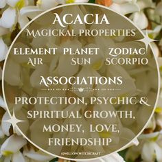 the zodiac sign for acacia, which is surrounded by white flowers and green leaves