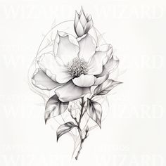 a black and white drawing of a flower