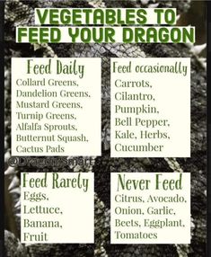 an image of vegetables to feed your dragon