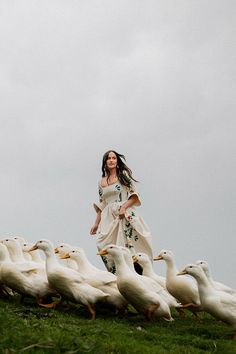 a woman in a white dress is surrounded by ducks on a grassy hill with grey skies behind her