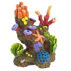 an aquarium scene with rocks and corals