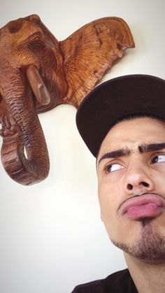 a man is looking up at an elephant head and another one has its trunk on the wall