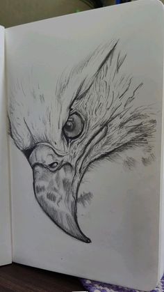 a drawing of an owl's head with its eyes open and the beak showing