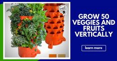 an advertisement for grow 50 veggies and fruits vertically