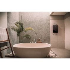 a white bath tub sitting in a bathroom next to a wooden chair and palm tree