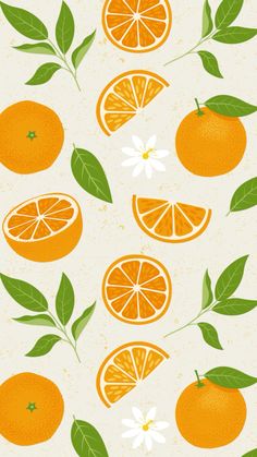 an image of oranges with leaves and flowers on the side seamless wallpaper