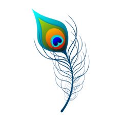 a colorful peacock feather on a white background