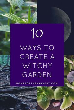 the words 10 ways to create a witchy garden with flowers and plants around it