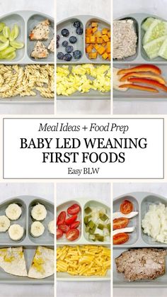 baby led weaning first foods meal ideas