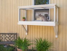 a cat sitting on top of a window sill in front of a wooden building