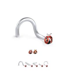 the ladybug is sitting on top of the metal hook and four pairs of earrings