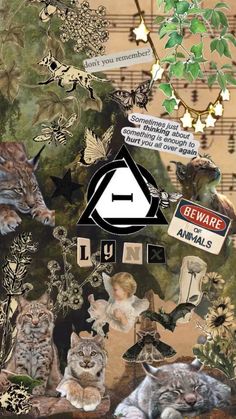 a collage of cats and birds with music notes