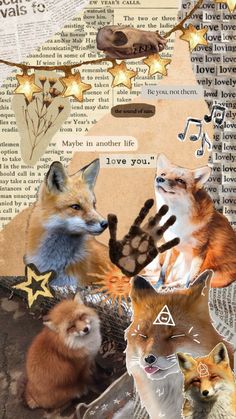 an altered collage of foxes and other animals