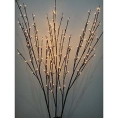 lighted twig branches with white lights in a black vase on a gray wall background