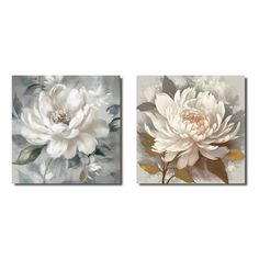 two white flowers on a gray background