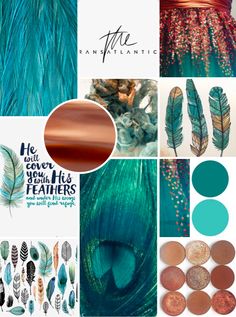 a collage with different colors and feathers