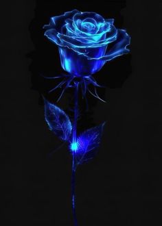 a blue rose is lit up in the dark